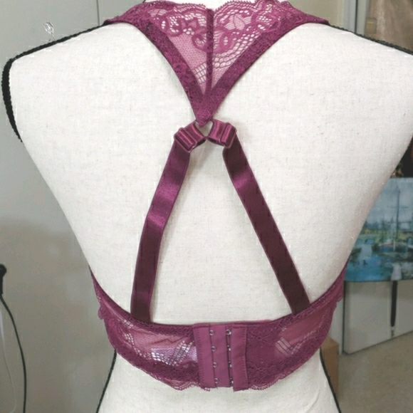 Angelina bra NWT 40C - Picture 2 of 5